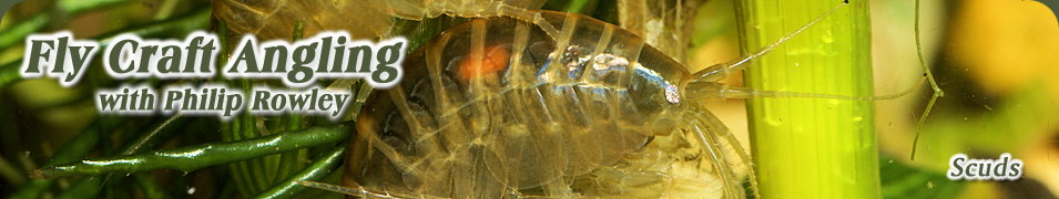 Shrimp Scuds, Entomology. Fly Fishing Philip Rowley