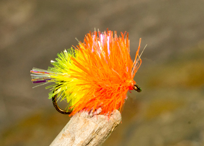 Tequila Blob Trout Fly Fishing Size 8 